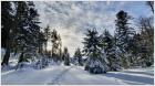 Winterausflug winterromantik H�ttengaudi