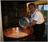 fürhung käserei mit degustation